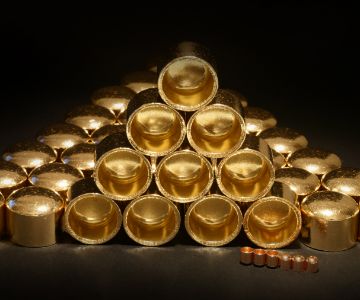 CASE CUP